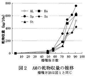 図2 AMの乾物収量の推移