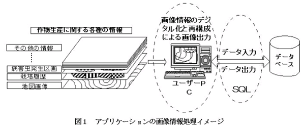 図1.アプリケーションの画像処理のイメージ