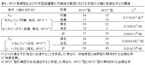 表2.APX1発現型および欠失型品種間の交雑後代集団における多型の分離と他遺伝子との関連