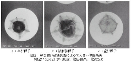 図2 軟X線非破壊調査によるてんさい単胚果実