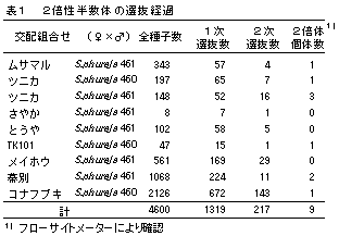 表1  2倍性半数体の選抜経過