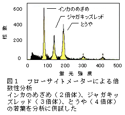 図1 フローサイトメーターによる倍数性分析