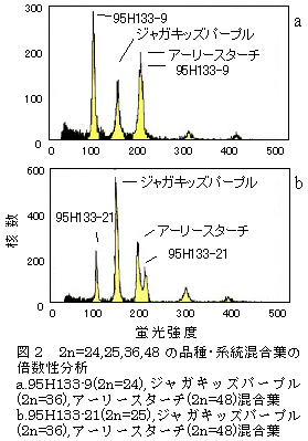 図2 2n=24,25,36,48 の品種・系統混合葉の倍数性分析