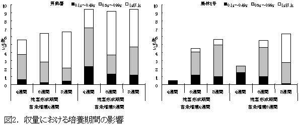 図2. 収量における培養期間の影響