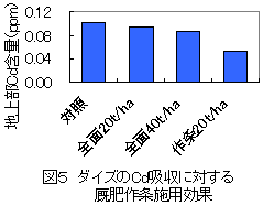 図5 ダイズのCd吸収に対す厩肥作条施用効果