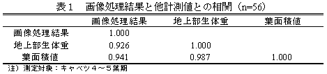 表1 画像処理結果と他計測値との相関