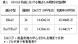 表1 H0018 系統における穂ばらみ期耐冷性試験
