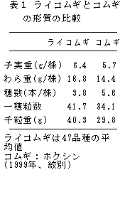 表1 ライコムギとコムギ の形質の比較