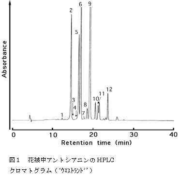 図1 花被中アントシアニンのHPLC