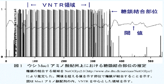 図1.ウシMuc1アミノ酸配列上における糖鎖結合部位の推定