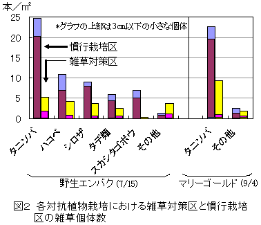 図2 各対抗植物栽培における雑草対策区と慣行栽培 区の雑草個体数