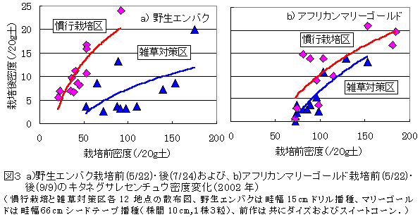 図3 a)野生エンバク栽培前(5/22)・後(7/24)および、b)アフリカンマリーゴールド栽培前(5/22)・ 後(9/9)のキタネグサレセンチュウ密度変化(2002 年)