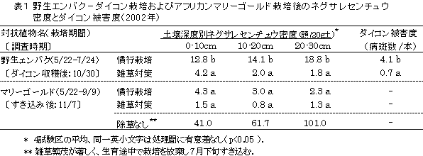 表1 野生エンバク-ダイコン栽培およびアフリカンマリーゴールド栽培後のネグサレセンチュウ密度とダイコン被害度(2002年)