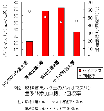図2 腐植質黒ボク土のバイオマスリン 量及び添加無機リン回収率
