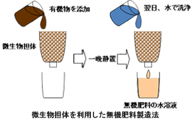 微生物担体を利用した無機肥料製造法