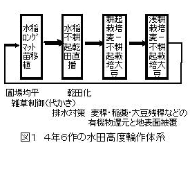 図1 4年6作の水田高度輪作体系