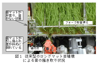 図1 従来型のロングマット田植機による苗の掻き取り状況