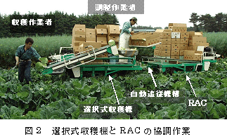 図2 選択式収穫機とRACの協調作業