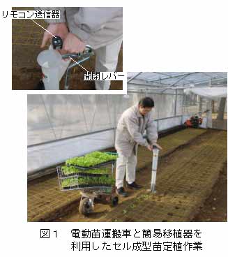 図1 電動苗運搬車と簡易移植器を利用したセル成形苗定植作業