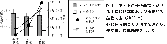 図1 ポット苗移植栽培における主稈最終葉数および出穂期の品種間差(2003年)