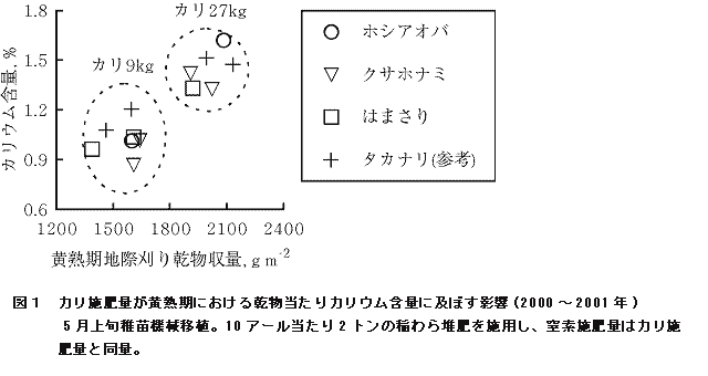 図1 カリ施肥量が黄熟期における乾物当たりカリウム含量に及ぼす影響 (2000?2001年)