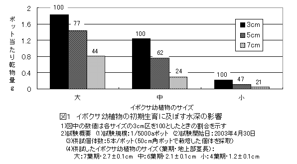 図1 イボクサ幼植物の初期生育に及ぼす水深の影響