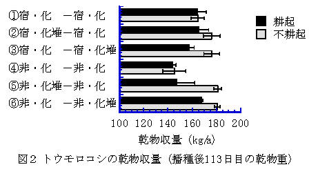 図2 トウモロコシの乾物収量