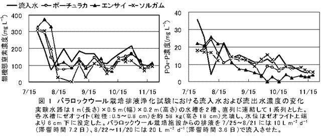 図1 バラロックウール栽培排液浄化試験における流入水および流出水濃度の変化