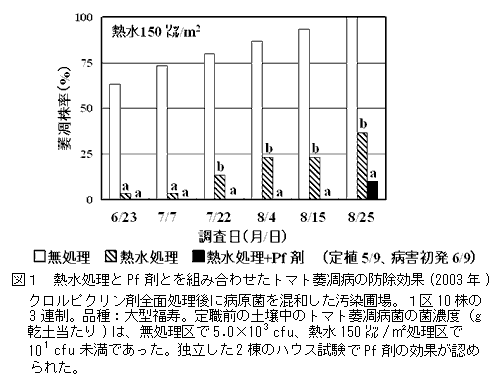図1 熱水処理とPf剤とを組み合わせたトマト萎凋病の防除効果