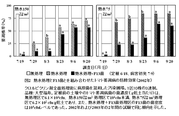 図2 熱水処理とF13菌とを組み合わせたトマト萎凋病の防除効果
