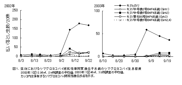 図1 筑後におけるツマグロヨコバイ抵抗性準同質遺伝子系統のツマグロヨコバイ生息密度