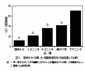 図1 宮崎もちの穂いもち圃場抵抗性の他品種との比較