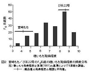 図2 宮崎もち/び22号のF6系統の穂いもち発病程度の頻度分布