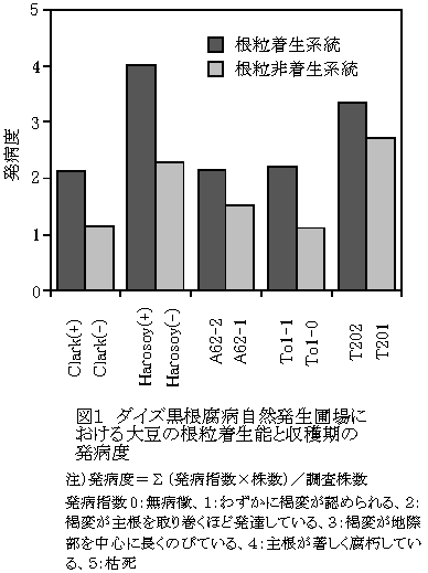 図1 ダイズ黒根腐病自然発生圃場における大豆の根粒着生能と収穫期の発病度