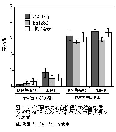 図2 ダイズ黒根腐病菌接種と根粒菌接種の有無を組み合わせた条件での生育初期の発病度