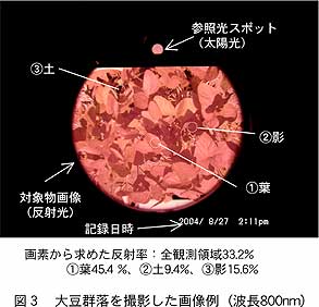 図3 大豆群落を撮影した画像例