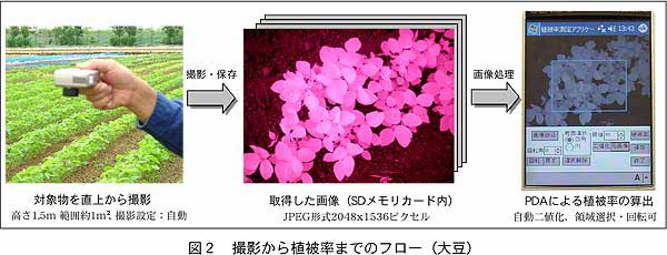 図2 撮影から植被率までのフロー