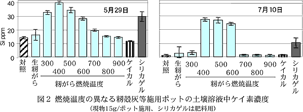 図2 燃焼温度の異なる籾殻灰等施用ポットの土壌溶液中ケイ素濃度