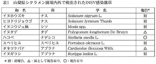 表1 山梨県シクラメン圃場内外で検出されたINSV感染雑草