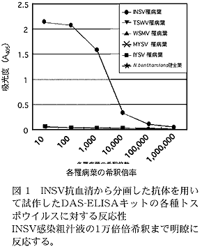 図 1 INSV 抗血清から分画した抗体を用いて試作した DAS-ELISAキットの各種トスポウイルスに対する反応性 INSV感染粗汁液の1 万倍倍希釈まで明瞭に反応する。