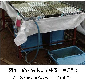 図1 底面給水育苗装置