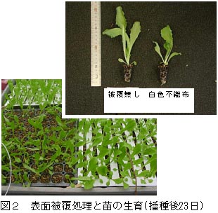図2 表面被覆処理と苗の生育