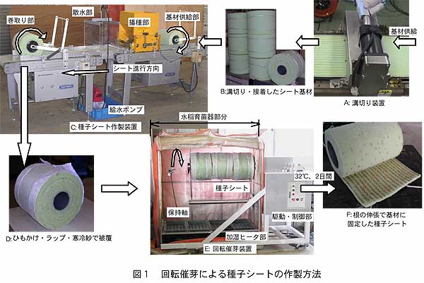 図1 回転催芽による種子シートの作製方法