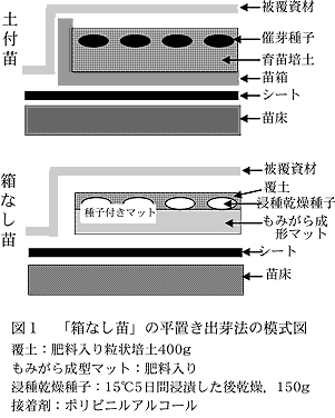 図1 「箱なし苗」の平置き出芽法の模式図