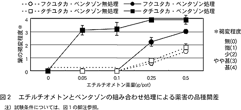 図2 エチルチオメトンとベンタゾンの組み合わせ処理による薬害の品種間差