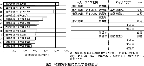 図2 乾物実収量に及ぼす各種要因