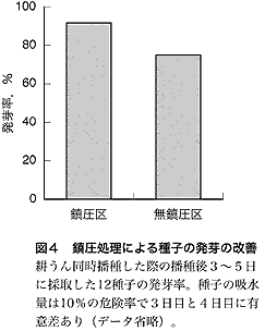 図4.鎮圧処理による種子の発芽の改善