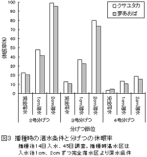 図3 播種時の湛水条件と分げつの休眠率