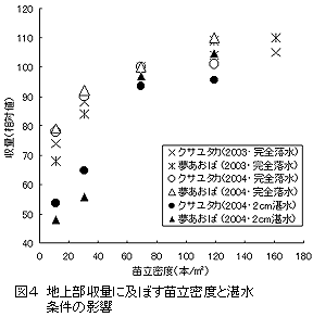 図4 地上部収量に及ぼす苗立密度と湛水条件の影響