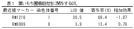 表1 葉いもち圃場抵抗性に関与するQTL